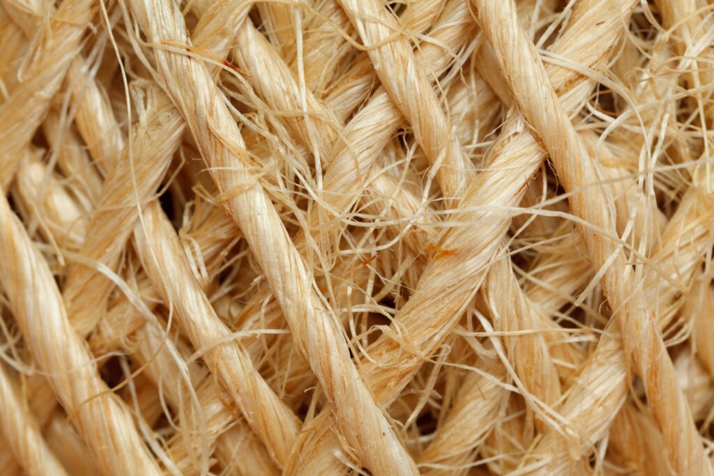 Sisal