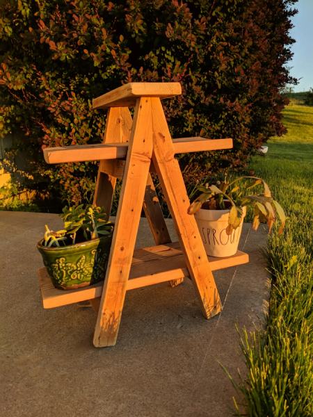 Tiny Ladder Plant Stand