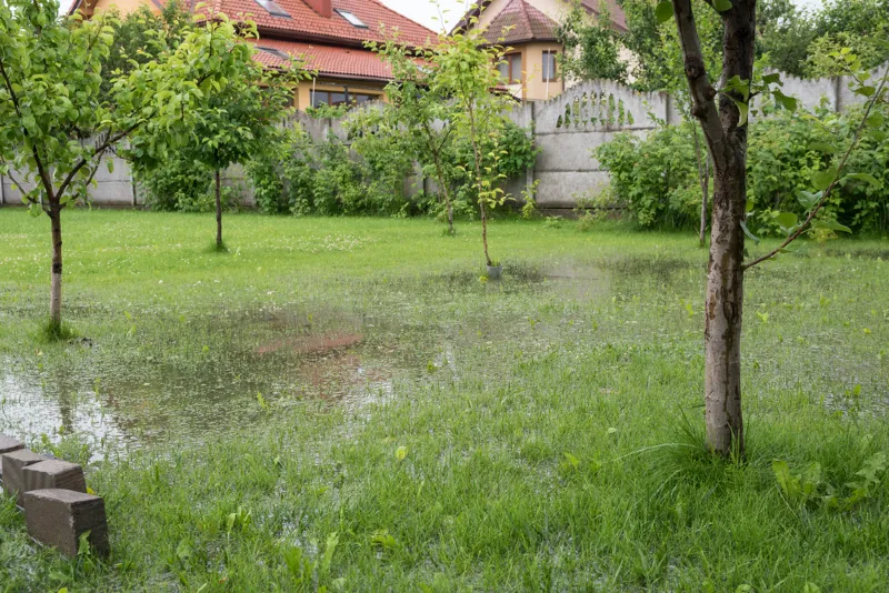a flooded backyard garden after rain