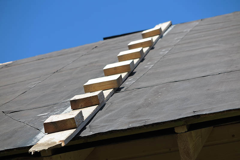 chicken ladder attached on sloped roof
