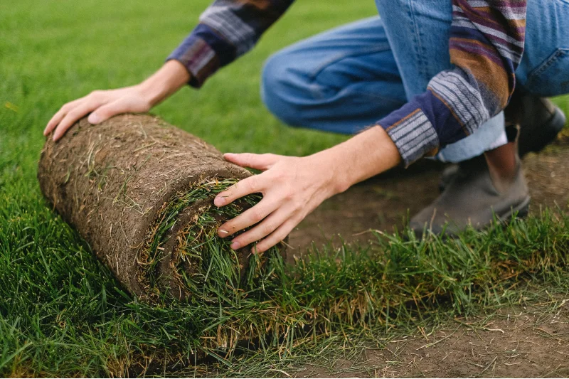 crop worker laying sod grass roll
