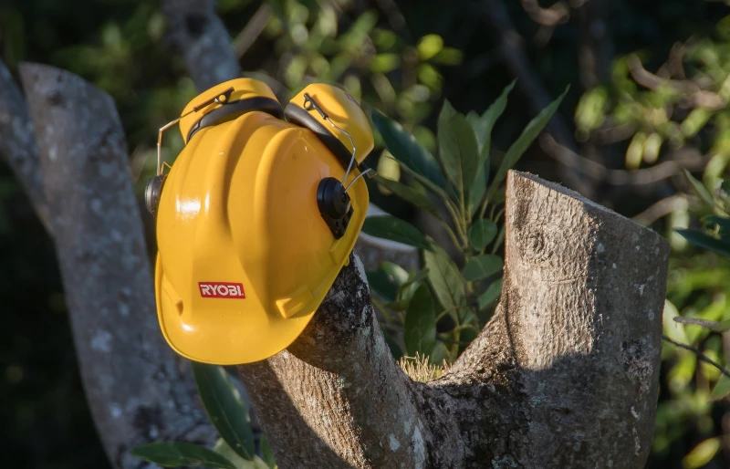 ear muffs hanging from a pruned tree