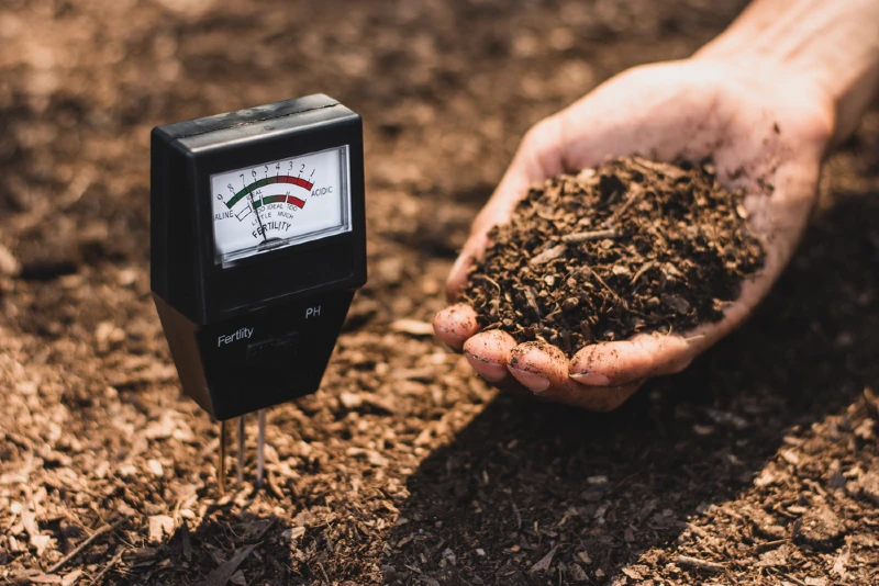 gardener testing soil using a soil meter