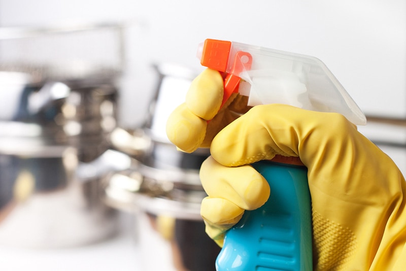 hand in glove holding cleaner spray