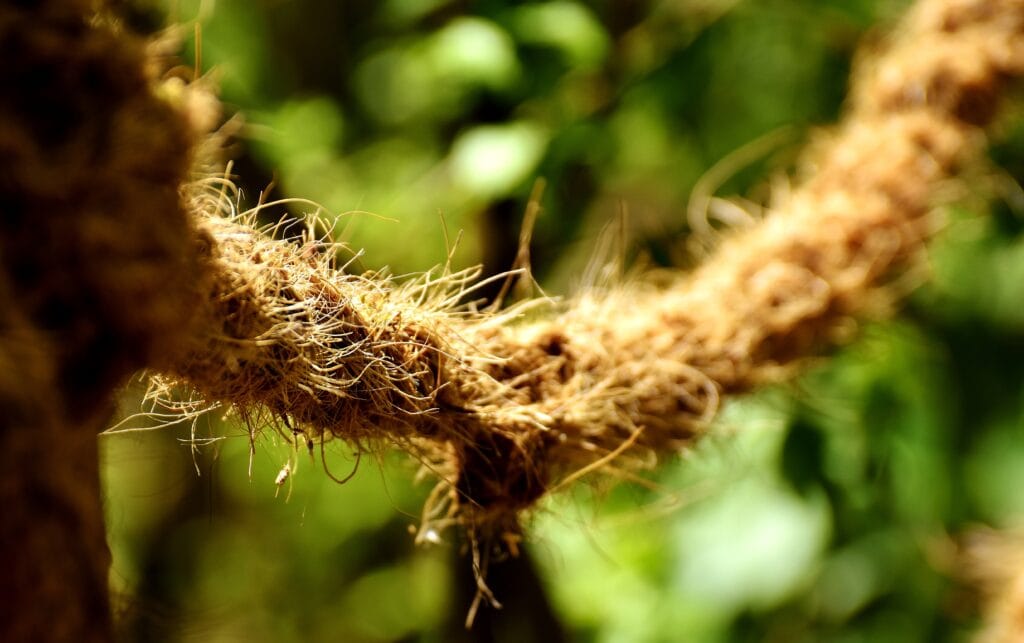 Rope from plant fiber
