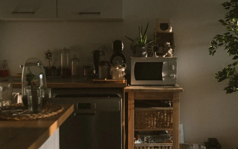 microwave and dishwasher in dim kitchen