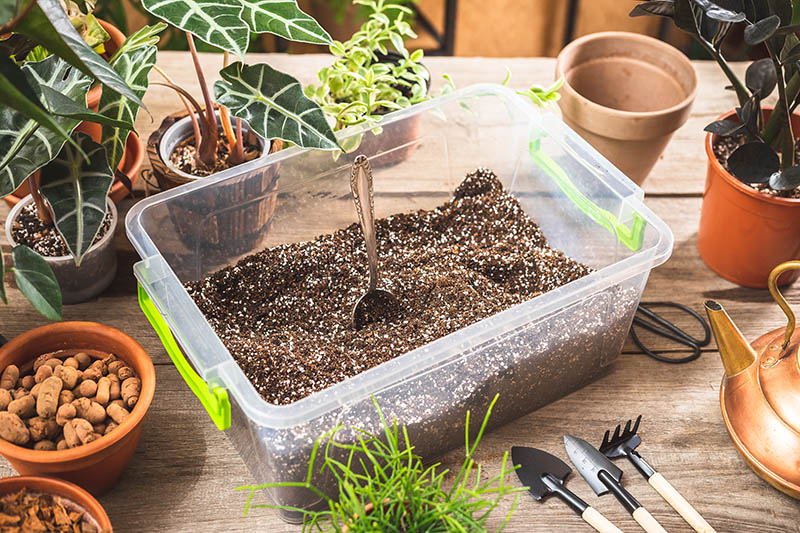 potting soil on a container