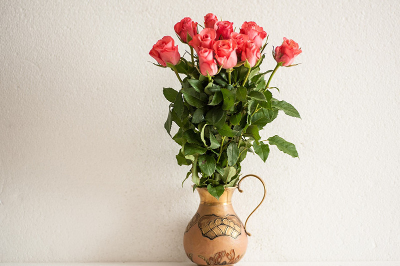 rose vase