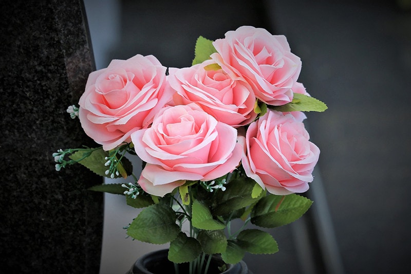 roses