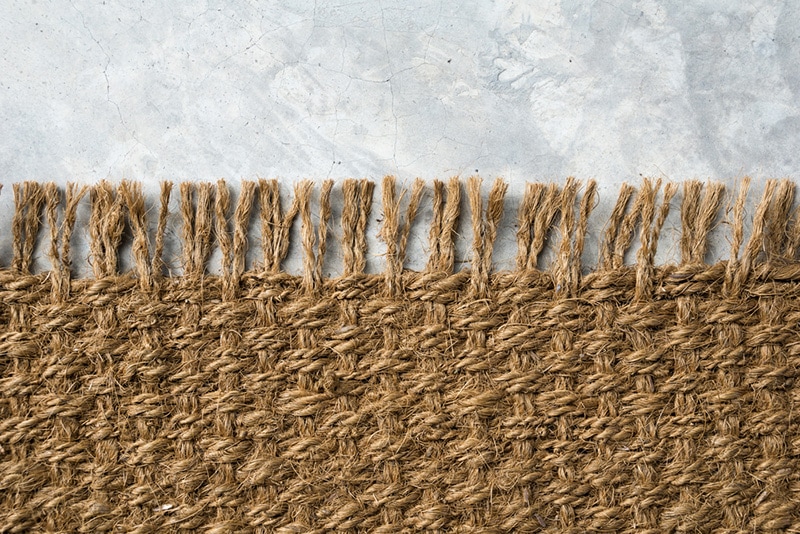 sisal rug on the floor