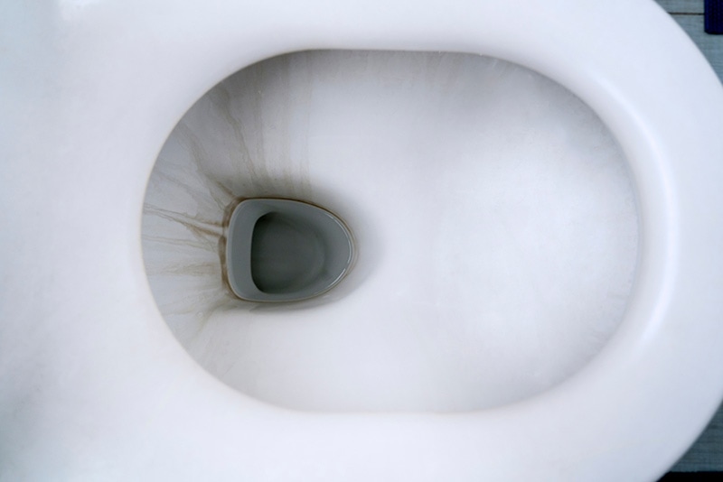 toilet bowl with black stain