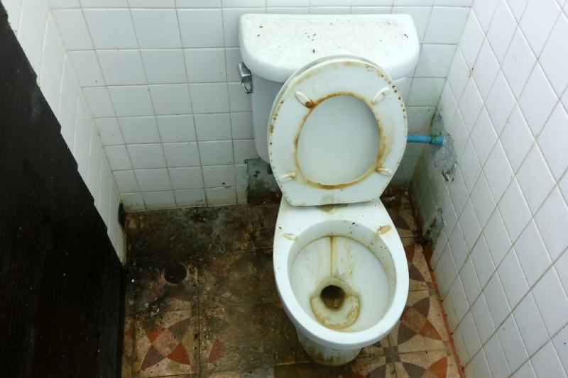 toilet bowl with mold