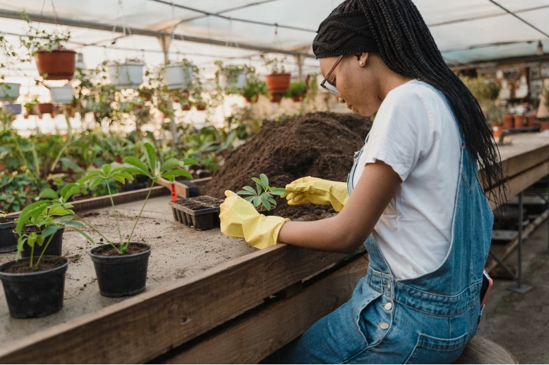 woman in a greenhouse potting plants