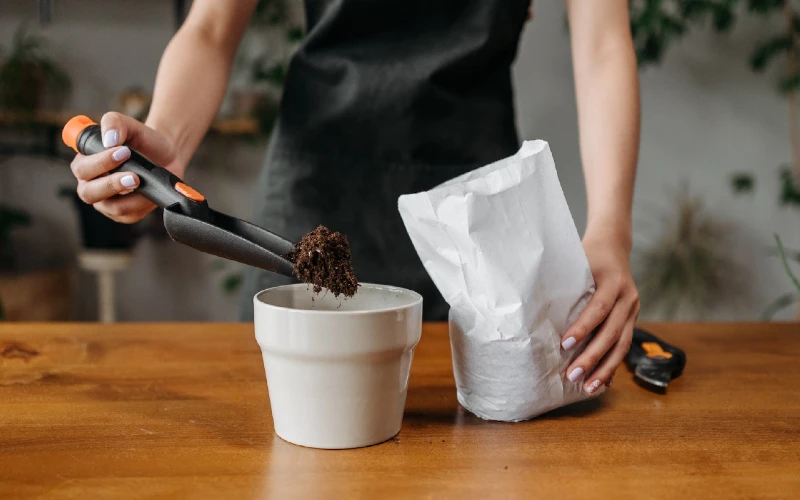 woman putting soil or peat moss into a planter pot