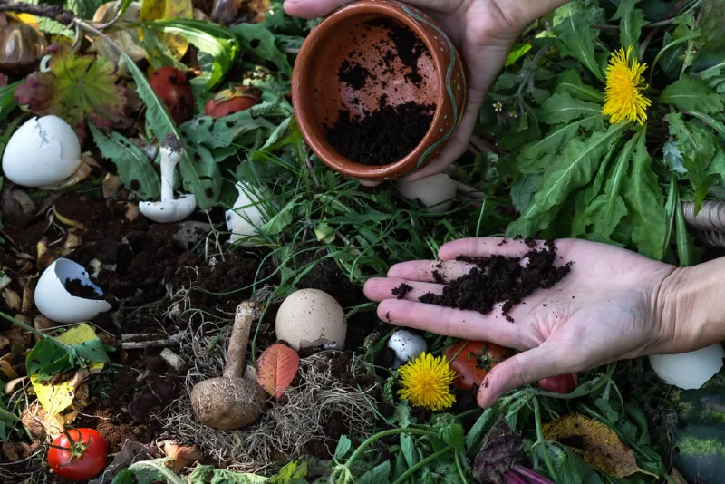 woman sprinkling used coffee grounds over compost