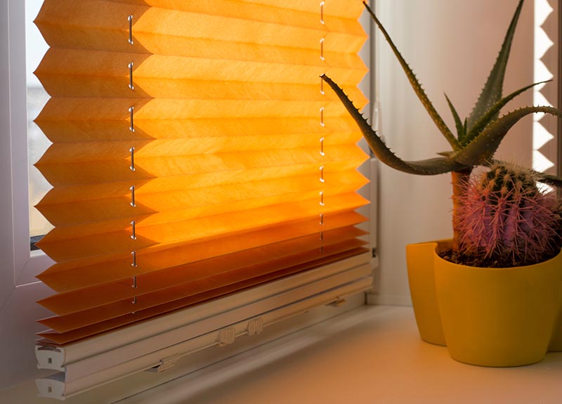 Cordless pleated shade with white lower bar