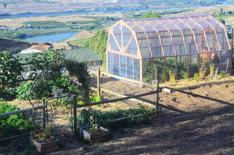 DIY Greenhouse