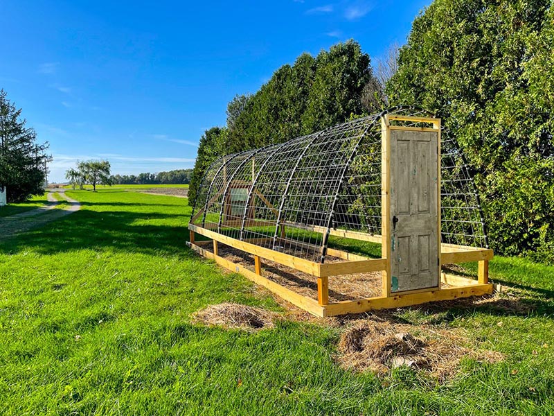DIY Greenhouse