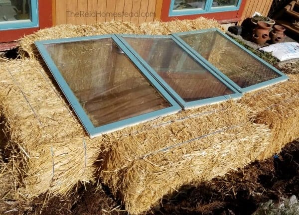 DIY Straw Bale Cold Frame Greenhouse