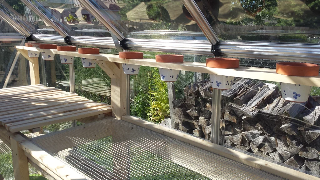 Greenhouse Growing Bench