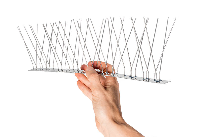 Hand holding single strip of bird spikes
