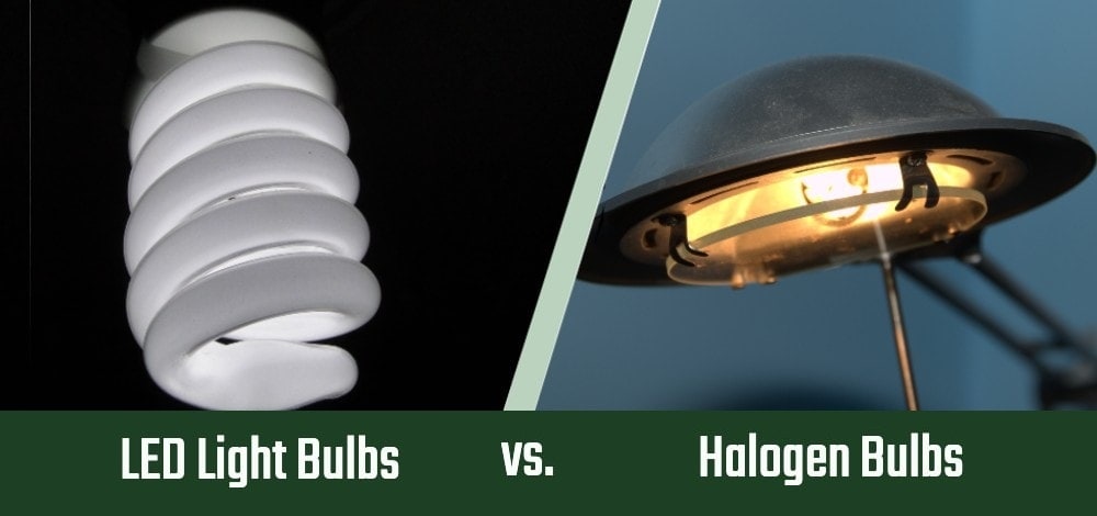 LED Light Bulbs vs. Halogen