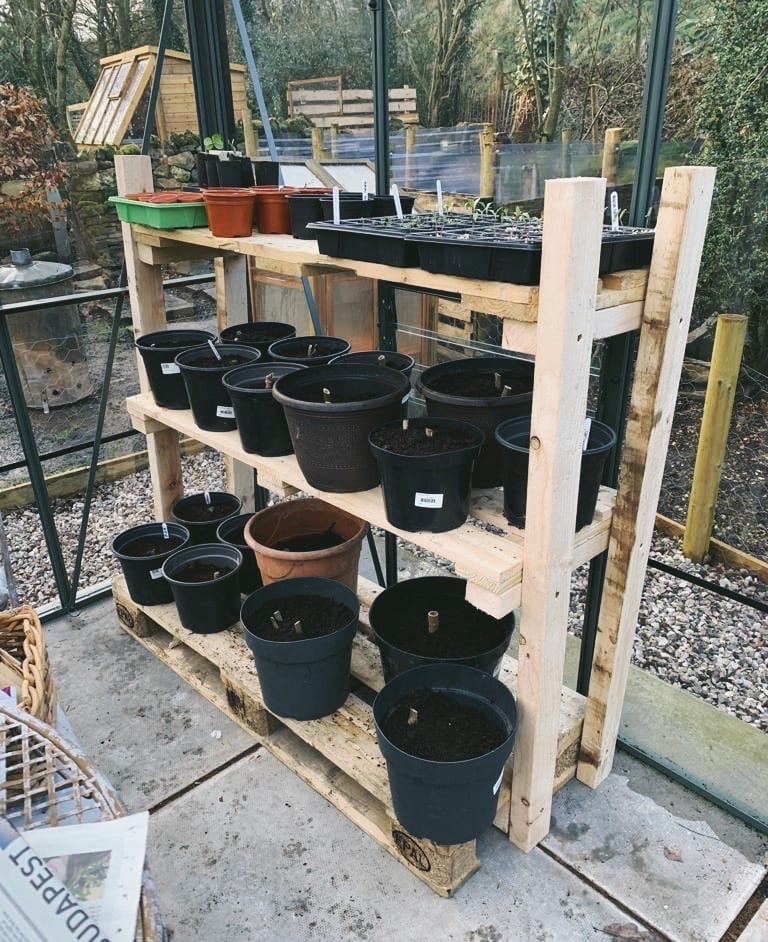 Making greenhouse staging from pallets