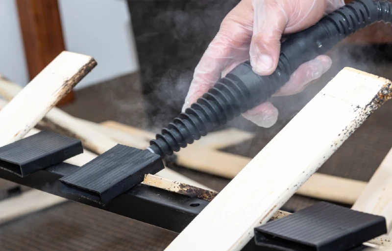 bed bug infestation pest control