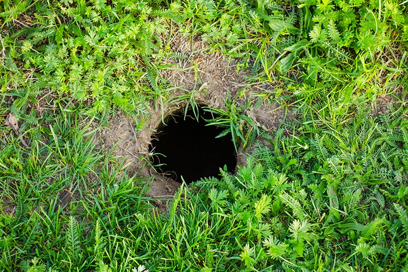 big hole in the garden