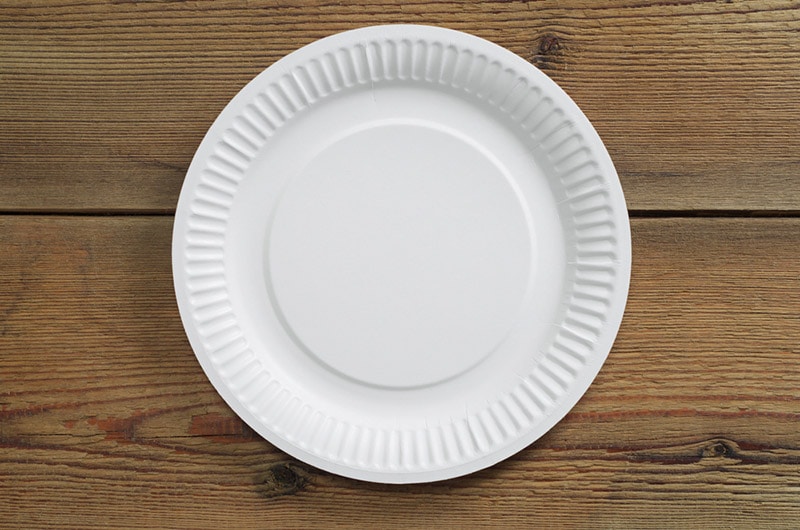 disposable paper plate