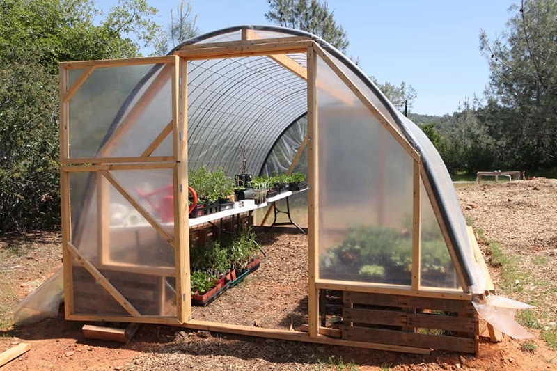 diy cattle panel pallet greenhouse