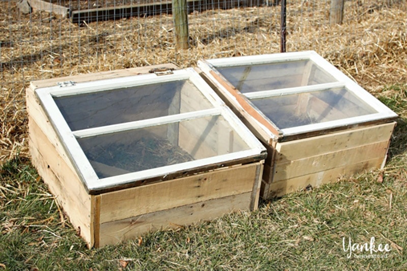 diy pallet cold frame