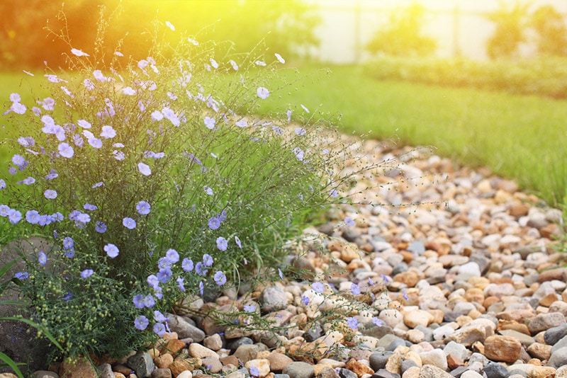 dry creek bed