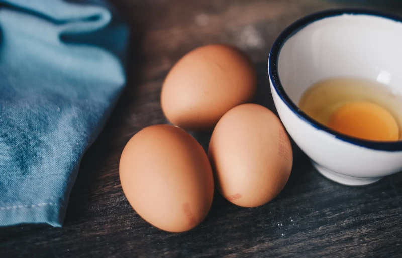 eggs