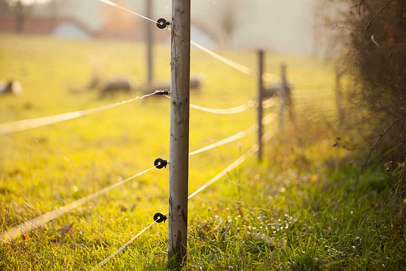 electric fence around farm