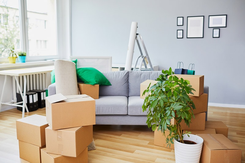 home interior during move-in