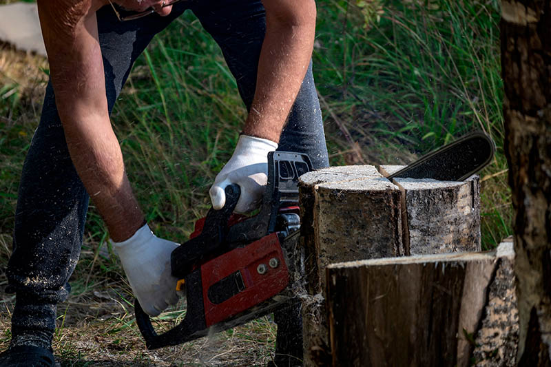 male logger saws tree with hand held cordless chainsaw