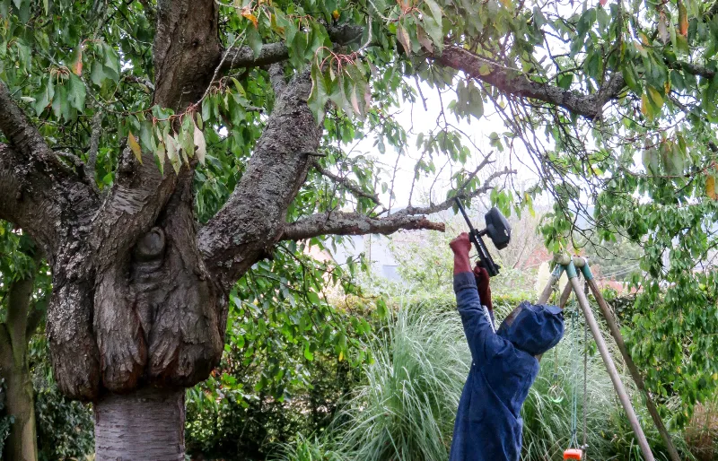 man shooting a hornets nest with a paintball gun with insecticide