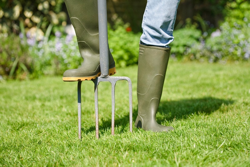 man using digging fork for soil aeration
