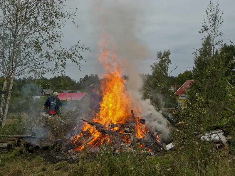men burning woods in the backyard
