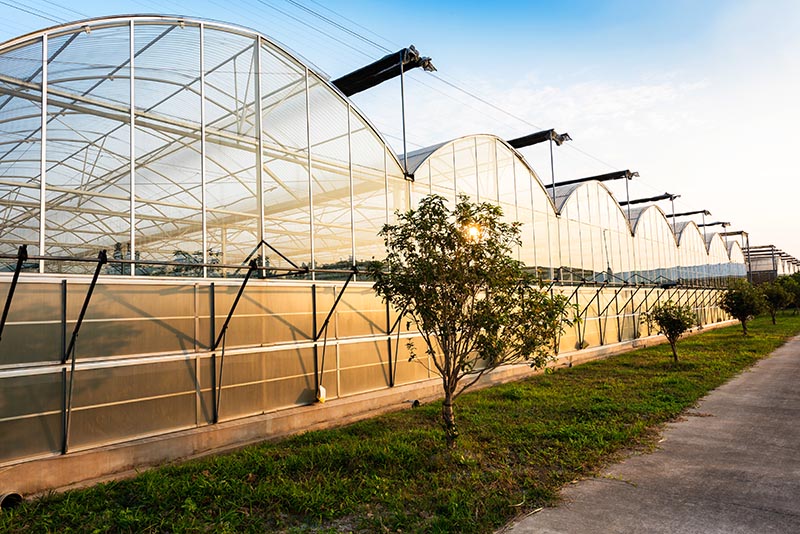 outside view of a greenhouse