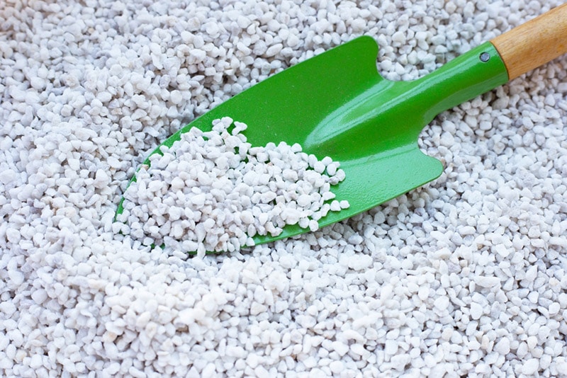 perlite for potting