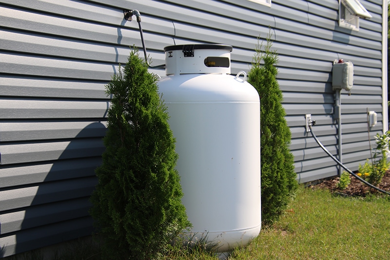 propane tank in between cedar bushes