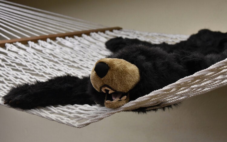 A stuffed animal bear on a hammock