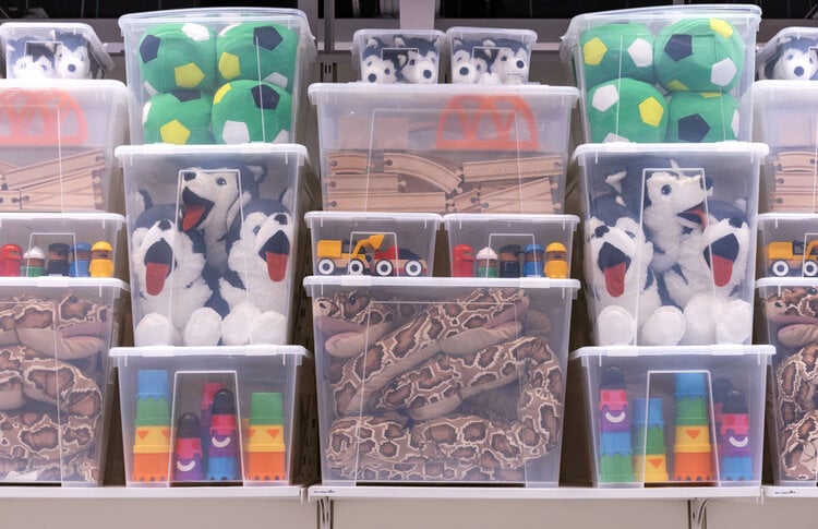 Transparent plastic storage containers