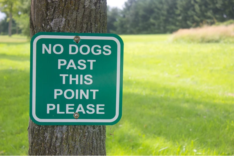 sign to ward off dogs pinned to a tree