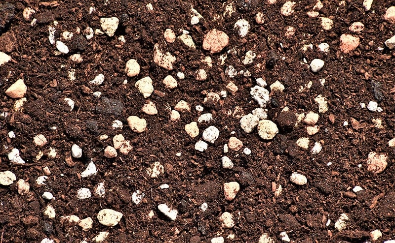 sterilized soil with grit, pumice, peat and akadama