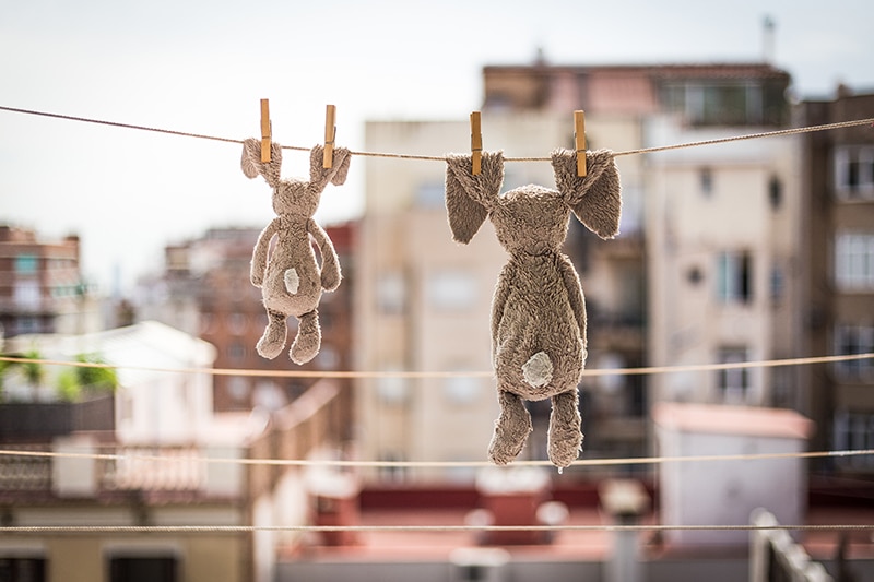 Stuffed animals hanging for drying