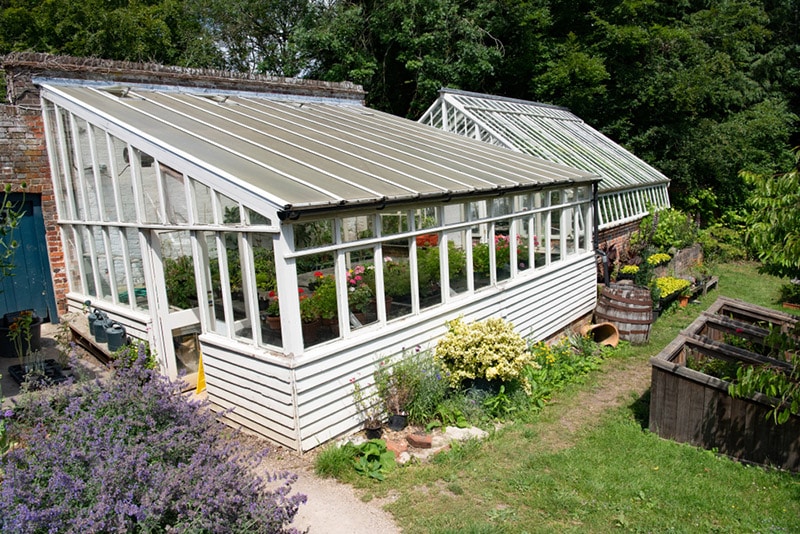 traditional rustic lean to greenhouse