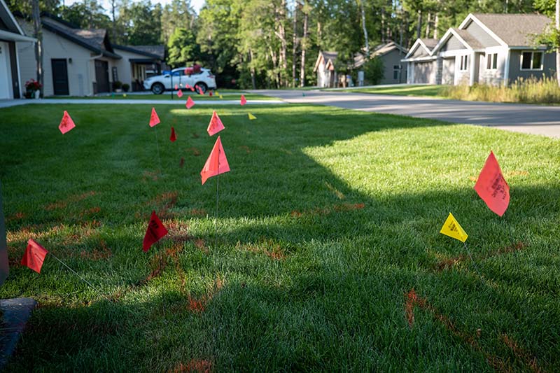 utility flags on garden
